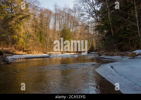 Un ruscello coperto di neve nel sole primaverile del mattino, Deep Creek, Terrace, Skeena Region, British Columbia, Canada Foto Stock