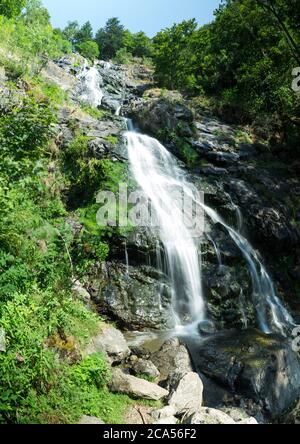 Cascata nella foresta nera estate Foto Stock