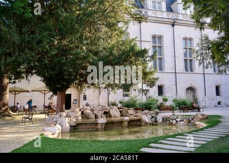 Francia, Cote d'Or, Digione, zona dichiarata Patrimonio dell'Umanità dall'UNESCO, palazzo dei duchi di Borgogna, piazza dei Ducs Foto Stock