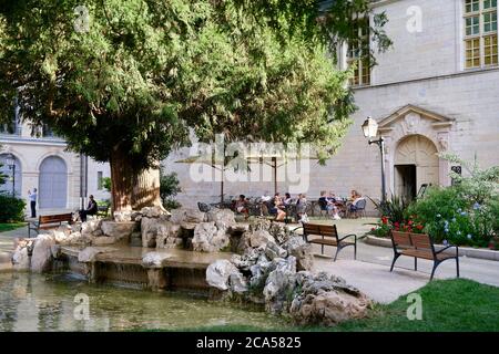 Francia, Cote d'Or, Digione, zona dichiarata Patrimonio dell'Umanità dall'UNESCO, palazzo dei duchi di Borgogna, piazza dei Ducs Foto Stock