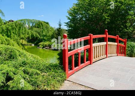 Francia, Cote d'Or, Digione, Parco di Suzon, giardino giapponese Foto Stock