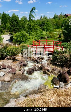 Francia, Cote d'Or, Digione, Parco di Suzon, giardino giapponese Foto Stock