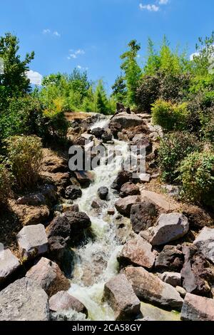 Francia, Cote d'Or, Digione, Parco di Suzon, giardino giapponese Foto Stock