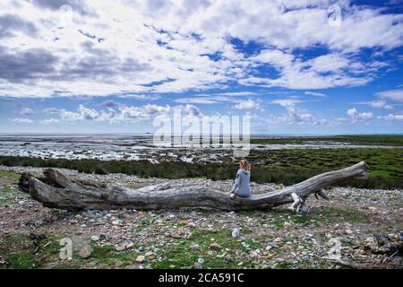 Driftwood e Birdwatching a Sunderland Point, è un piccolo villaggio tra le paludi, su una penisola ventosa tra la foce del fiume Lune e. Foto Stock