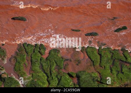 Scogliere di arenaria che si lavano nel mare a Exeter, Devon trasformando l'acqua marrone che lambe su rocce coperte di alghe verdi sulla riva. Foto Stock