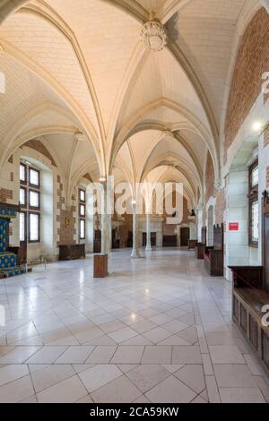Francia, Indre-et-Loire (37), Amboise, regione Centre Loire Valley, castelli della Loira, Valle della Loira Patrimonio Mondiale dell'Umanità, castello di Amboise, la grande ha Foto Stock