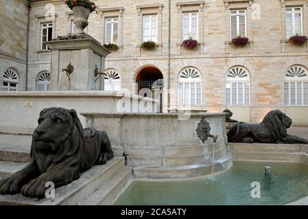 Francia, Giura, Lons le Saulnier, Place de l'Hotel de ville, municipio, fontana dei leoni Foto Stock