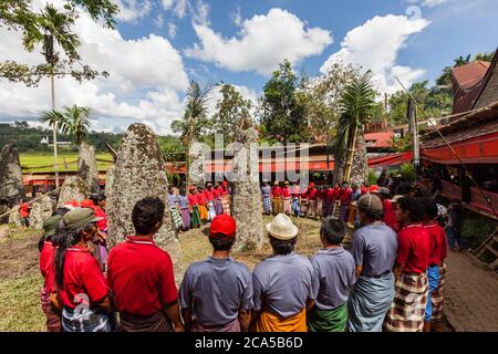 Indonesia, Sulawesi, Tana Toraja, Bori, uomini che cantano intorno ai megaliti sepolcrali di Kalimbuang Foto Stock