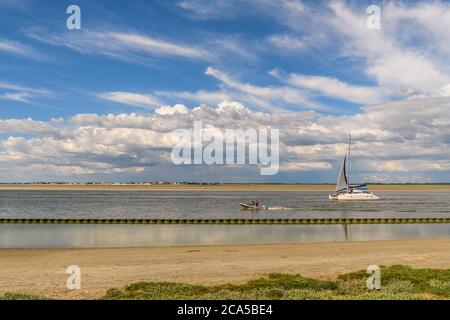 Francia, Somme (80), Baie de Somme, Saint-Valery-sur-Somme, Cap Hornu, barca a vela nel canale della Somme di fronte le Crotoy Foto Stock