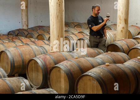 Europa, Francia, Occitanie, Midi-Pirenei, Ariege, Vira, Coteaux d'Engravies, interno di una cantina per la conservazione e la vinificazione Foto Stock