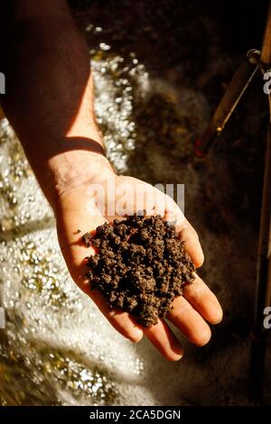 Francia, Gard (30), Roquemaure, cantina Carabiniers, preparazione di prodotti naturali per il trattamento delle viti Foto Stock