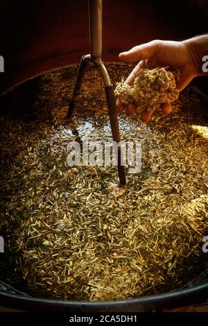 Francia, Gard (30), Roquemaure, cantina Carabiniers, preparazione di prodotti naturali per il trattamento delle viti Foto Stock