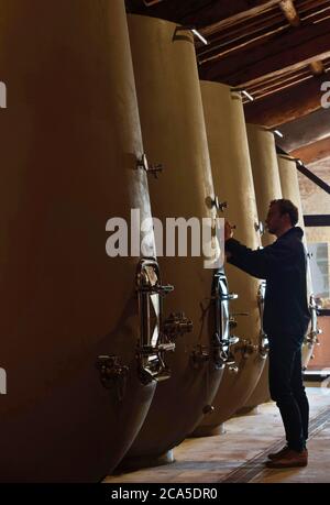 Francia, Gard (30), Tavel, cantina Chateau d'Aqueria, interno di una cantina per la conservazione e la vinificazione, cantina master in degustazione completa di vini, vino mak Foto Stock