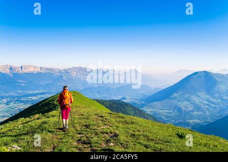 Francia, Isere, la regione della Matheysine (o plateau matheysin), escursione al Senepy, panorama sul massiccio del Vercors dall'alto (alt : 1769 m) Foto Stock