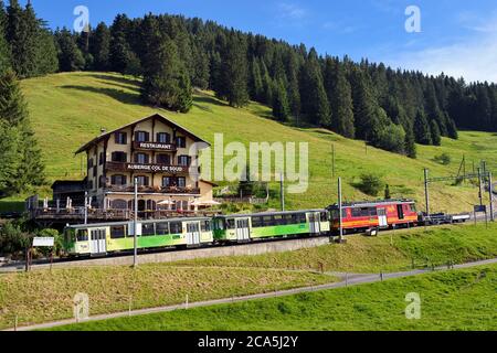 Svizzera, Cantone di Vaud, Villars-sur-Ollon, treno per la stazione Bretaye pass, fermata al ristorante col de soud Foto Stock