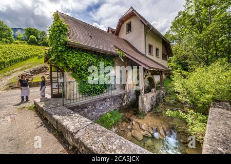 Francia, Savoia, Les Marches, percorso di know-how e siti culturali di Chartreuse, al Moulin de la Tourne la artigiana della carta Amandine Felix crea carta strag (carta artigianale prodotta da tessuti riciclati in cotone, canapa, lana o jeans), mantenendo così un know-how artigianale di 500 anni nella regione, qui una vista esterna del mulino e della sua ruota di secchio Foto Stock