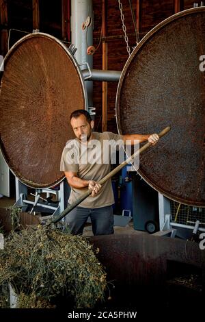 Francia, Tarn, Lavaur, processo di distillazione di impianti Foto Stock