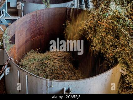 Francia, Tarn, Lavaur, processo di distillazione di impianti Foto Stock