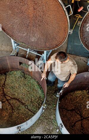 Francia, Tarn, Lavaur, processo di distillazione di impianti Foto Stock