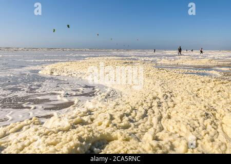 Francia, Somme (80), Baie de Somme, Ault, in una giornata ventosa gli appassionati di kitesurf vengono a praticare il loro sport lungo la spiaggia che è in parte coperto dalla schiuma di maggio (Plankton escrete sostanze che promuovono la formazione di schiuma in acqua agitata dal vento in questo momento). Foto Stock