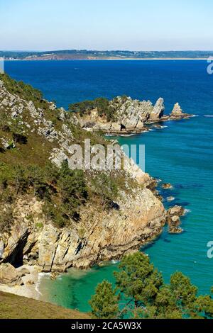 Francia, Finistere, Iroise Sea, Parc Naturel Regional d'Armorique (Parco Naturale Regionale dell'Armorica), Presqu'ile de Crozon (Penisola di Crozon), Cap de la Chevre, Pointe de Saint Hernot Foto Stock