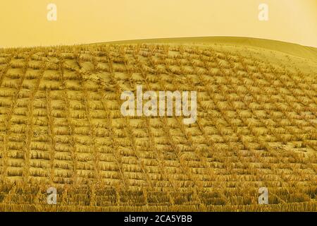 Le trame del deserto II, cina Foto Stock