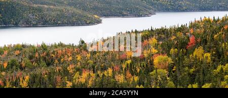 Fiordo e foresta in autunno, Gros Morne National Park, Terranova Island, Canada Foto Stock