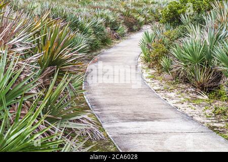 Juno Beach Florida, autostrada A1A, Loggerhead Park, escursioni costiere sentiero natura, Saw Palmetto, visitatori viaggio viaggio turistico turismo Landma Landmark Foto Stock