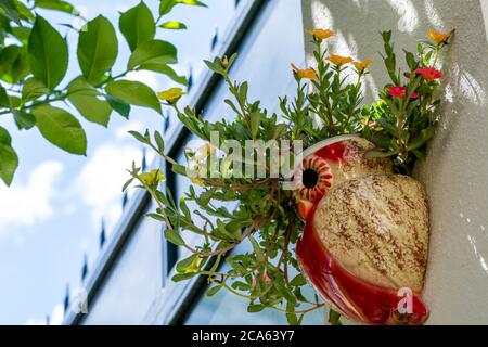 Pianta di fioritura multicolore in una piantatrice ceramica a gufo Foto Stock