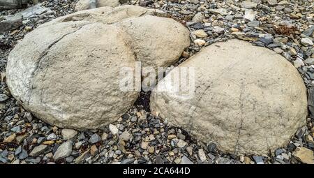 Vista delle rocce costiere, Tromboliti, Terranova Occidentale Foto Stock