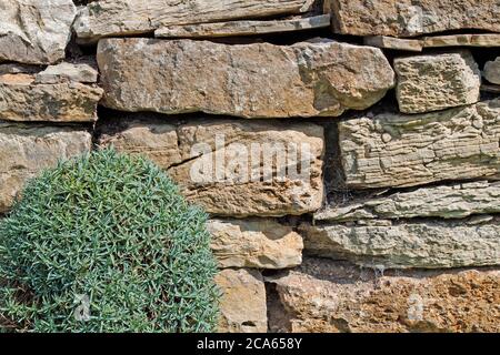 Muro di pietra naturale in primo piano Foto Stock