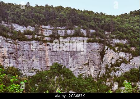 Una pietra con cespugli e alberi Foto Stock