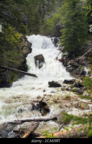 Nord America; Stati Uniti; Montana; Lost Creek Falls; Estate Foto Stock