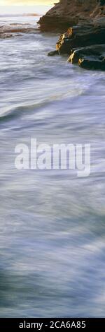Piccola insenatura, costa di Bird Rock, la Jolla, California, Stati Uniti Foto Stock