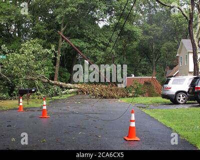 04 AGO 2020, Jefferson Twp., Morris County, New Jersey. Isaia lascia 1.3 milioni senza potere mentre la tempesta si dirige a nord nel New England. Linee elettriche abbattute da venti elevati. Tutto NJ è sotto un orologio del tornado in questo momento. Credito; Tom Cassidy/Alamy Live News Foto Stock