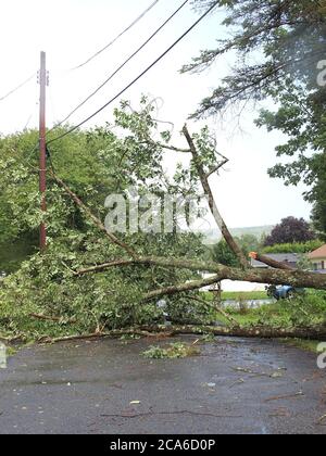 04 AGO 2020, Jefferson Twp., Morris County, New Jersey. Isaia lascia 1.3 milioni senza potere mentre la tempesta si dirige a nord nel New England. Linee elettriche abbattute da venti elevati. Tutto NJ è sotto un orologio del tornado in questo momento. Credito; Tom Cassidy/Alamy Live News Foto Stock