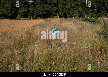 Margini di tutela ambientale, tenere fuori segno., al bordo di un campo di grano. Norfolk Regno Unito. Foto Stock