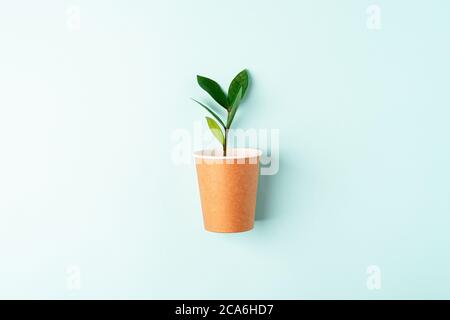 Tazza da caffè di carta artigianale con foglie verdi che germogliano la vista dall'alto. Flat Lay Zero Waste, eco-compatibile, concetto naturale senza plastica organica. Messa a terra Foto Stock