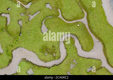 Le saline di Mullanny, Mayo, Irlanda Foto Stock