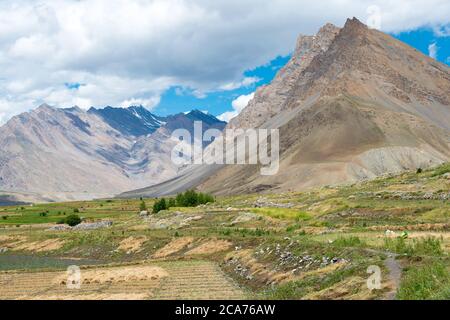 Himachal Pradesh, India - Valle di Spiti a Spiti, Himachal Pradesh, India. Foto Stock