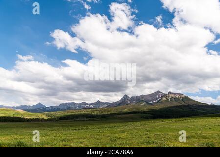 Lussureggianti campi verdi e erbosi punteggiati da fiori selvatici in un ranch aperto sotto le montagne innevate di San Juan nel sud-ovest del Colorado, UA Foto Stock