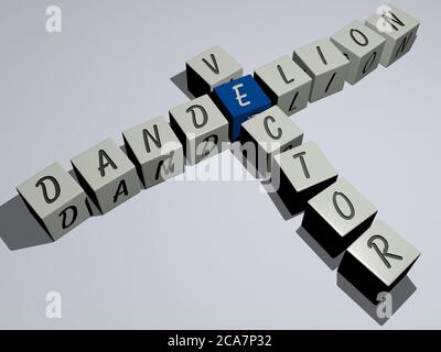 crosswords di vettore di dente di leone disposto da lettere cubiche su un pavimento di specchio, significato di concetto e presentazione. sfondo e fiore. Illustrazione 3D Foto Stock