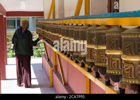 Manali, India - la Società Buddista dell'Himalaya Manali, un famoso tempio buddista tibetano a Manali, Himachal Pradesh, India. Foto Stock