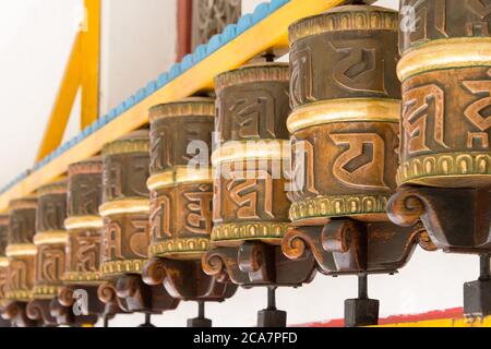 Manali, India - la Società Buddista dell'Himalaya Manali, un famoso tempio buddista tibetano a Manali, Himachal Pradesh, India. Foto Stock