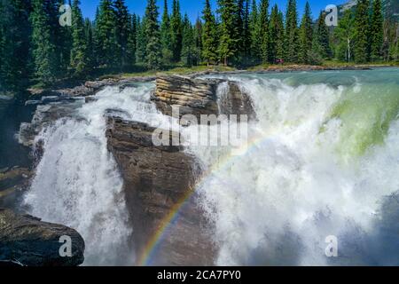 Cascate Athabasca, Jasper National Park, Alberta Foto Stock