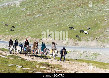 Himachal Pradesh, India - i turisti che si godono a cavallo sul Rohtang la (Passo Rohtang) a Manali, Himachal Pradesh, India. Foto Stock