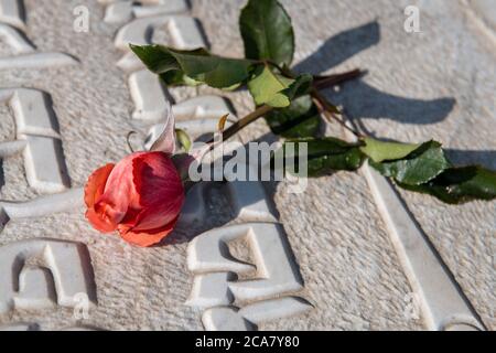 Una Rosa unica poggia sulla cima di una tomba dipinta di bianco presso il Cimitero Ebraico di Fes, Marocco Foto Stock