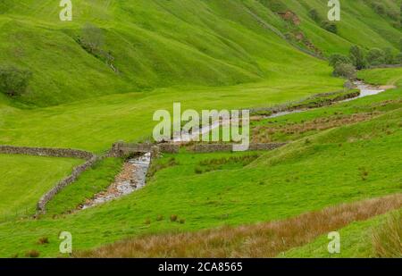 Stonesdale Beck in estate che attraversa una valle profonda vicino al villaggio di Keld in Swaledale, North Yorkshire. Prati verdi, rampini e canne. Foto Stock