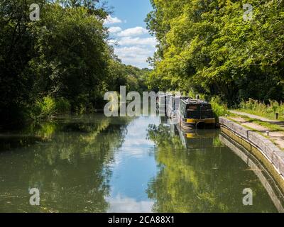 Splendido paesaggio pacifico, Kennett e Avon Canal, Newbury, Berkshire, Inghilterra, Regno Unito, GB. Foto Stock
