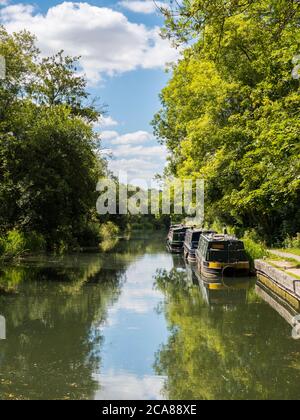 Splendido paesaggio pacifico, Kennett e Avon Canal, Newbury, Berkshire, Inghilterra, Regno Unito, GB. Foto Stock